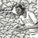 Song of the Week: Dock Ellis by Doesin