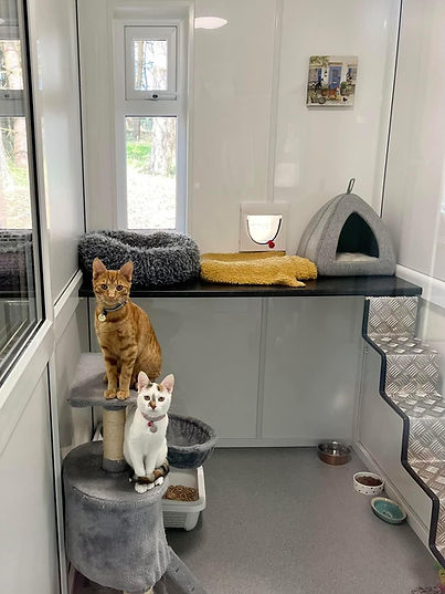 b3b98cb9-d7ea-45fa-bb6a-3c83286be036.jfif