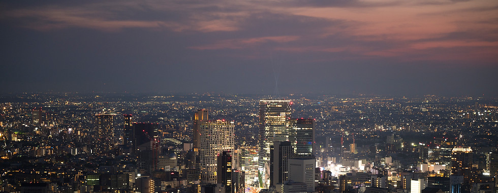 Nashville Skyline