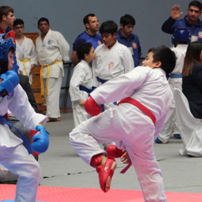 Torneo Externo: Nacional Open Hayashi Ha de Karate