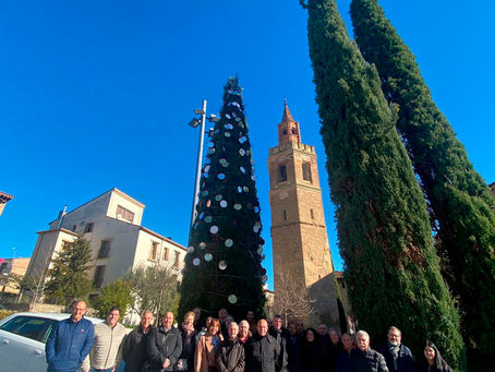 XV Jornada de Formación de Juntas de Gobierno de las Cofradías