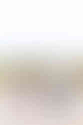 Oakville Photographer-The Day-Brown Family-LilyKyddPhotography-6