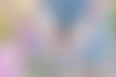 Southern Ontario Photographer-Guelph, Kitchener, Toronto, Woodstock-Lily Kydd Photography-