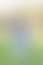 Southern Ontario Photographer-Guelph, Kitchener, Toronto, Woodstock-Lily Kydd Photography-