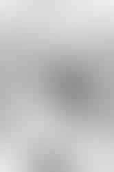 Southern Ontario Photographer-Guelph, Kitchener, Toronto, Woodstock-Lily Kydd Photography-