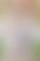 Southern Ontario Photographer-Guelph, Kitchener, Toronto, Woodstock-Lily Kydd Photography-