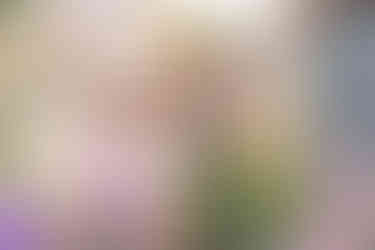 Southern Ontario Photographer-Guelph, Kitchener, Toronto, Woodstock-Lily Kydd Photography-