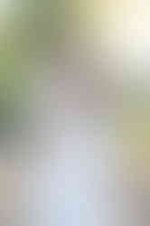 Southern Ontario Photographer-Guelph, Kitchener, Toronto, Woodstock-Lily Kydd Photography-