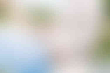 Southern Ontario Photographer-Guelph, Kitchener, Toronto, Woodstock-Lily Kydd Photography-