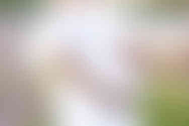 Southern Ontario Photographer-Guelph, Kitchener, Toronto, Woodstock-Lily Kydd Photography-