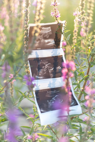 Southern Ontario Photographer-Guelph, Kitchener, Toronto, Woodstock-Lily Kydd Photography-