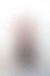 Southern Ontario Photographer-Guelph, Kitchener, Toronto, Woodstock-Lily Kydd Photography-