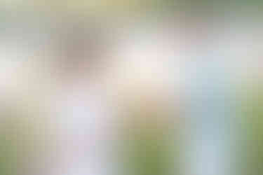 Southern Ontario Photographer-Guelph, Kitchener, Toronto, Woodstock-Lily Kydd Photography-