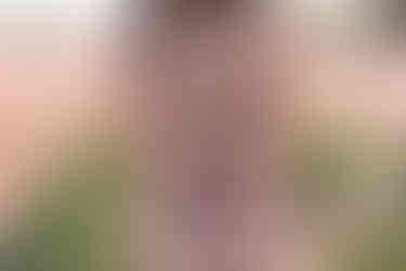 Southern Ontario Photographer-Guelph, Kitchener, Toronto, Woodstock-Lily Kydd Photography-