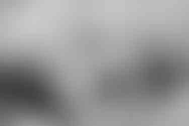 Southern Ontario Photographer-Guelph, Kitchener, Toronto, Woodstock-Lily Kydd Photography-