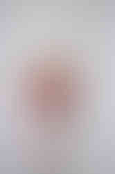 LilyKyddPhotography-Courtney - The Perron Family-4_websize.jpg