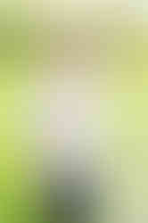 Southern Ontario Photographer-Guelph, Kitchener, Toronto, Woodstock-Lily Kydd Photography-