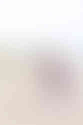 Oakville Photographer-The Day-Brown Family-LilyKyddPhotography-57