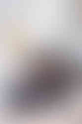 LilyKyddPhotography-Courtney - The Perron Family-79_websize.jpg