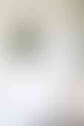 Oakville Photographer-The Rizks Family-Lily Kydd Photography-164_websize.jpg