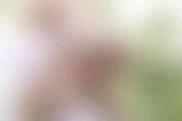 Southern Ontario Photographer-Guelph, Kitchener, Toronto, Woodstock-Lily Kydd Photography-