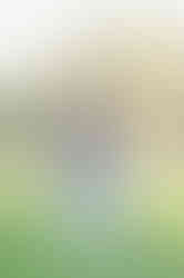 Southern Ontario Photographer-Guelph, Kitchener, Toronto, Woodstock-Lily Kydd Photography-