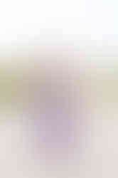 Oakville Photographer-The Day-Brown Family-LilyKyddPhotography-105