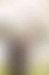 Southern Ontario Photographer-Guelph, Kitchener, Toronto, Woodstock-Lily Kydd Photography-