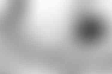 Oakville Photographer-The Day-Brown Family-LilyKyddPhotography-200