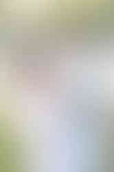 Southern Ontario Photographer-Guelph, Kitchener, Toronto, Woodstock-Lily Kydd Photography-