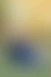 Southern Ontario Photographer-Guelph, Kitchener, Toronto, Woodstock-Lily Kydd Photography-