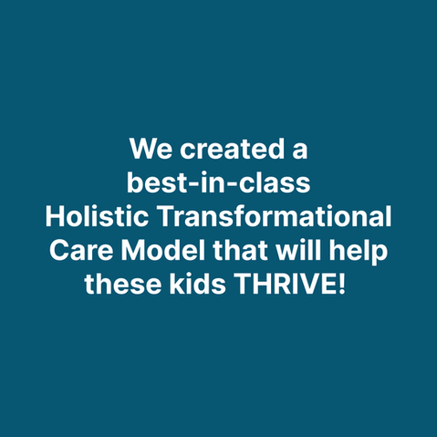 Holistic-Care-Model-Graphic-6.png