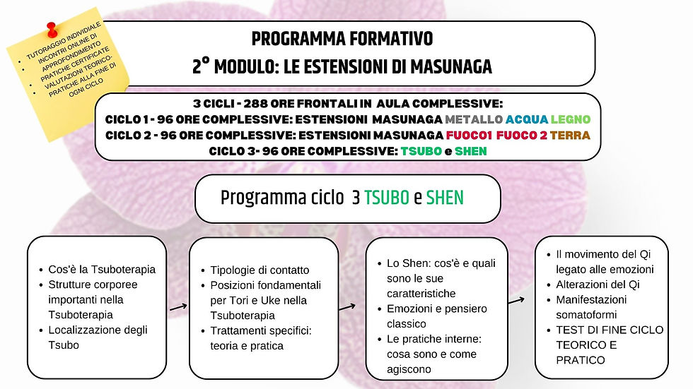 Modulo 2 - ciclo 3: Tsubo e Shen