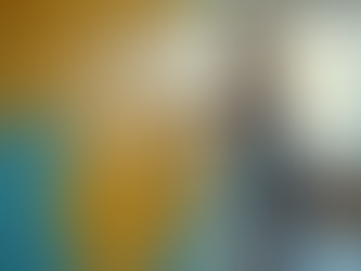 A SIMPLE Guide for NYC LandlorDS: Painting After Tenants Move Out