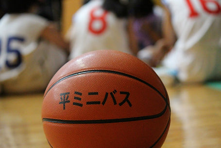平ミニバスボール