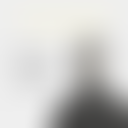 Lauri Salonen, ajattelun diversiteetti hallitustyössä