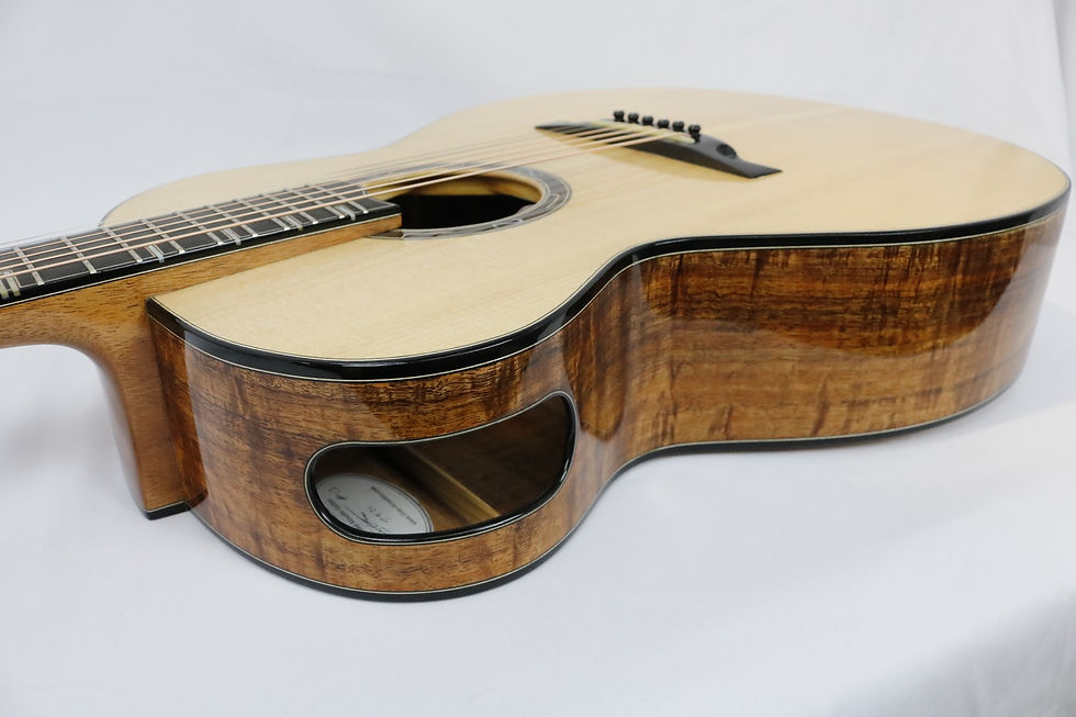 Thumbnail: Steel String Rozier Model
