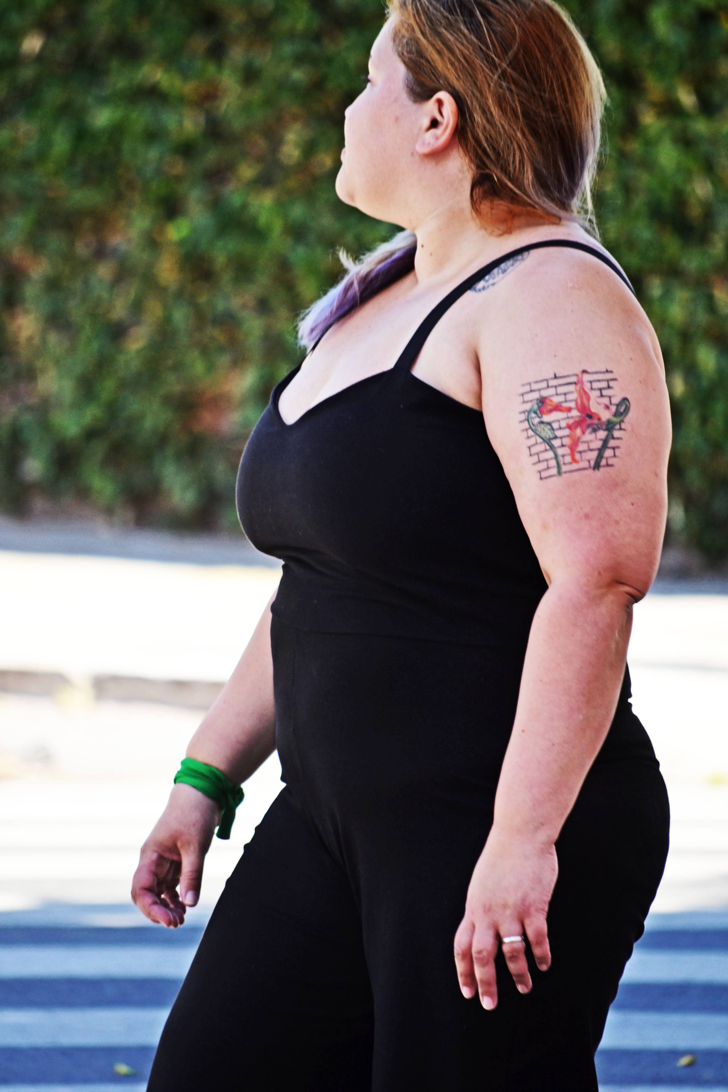 Mono Motorhome / varios colores