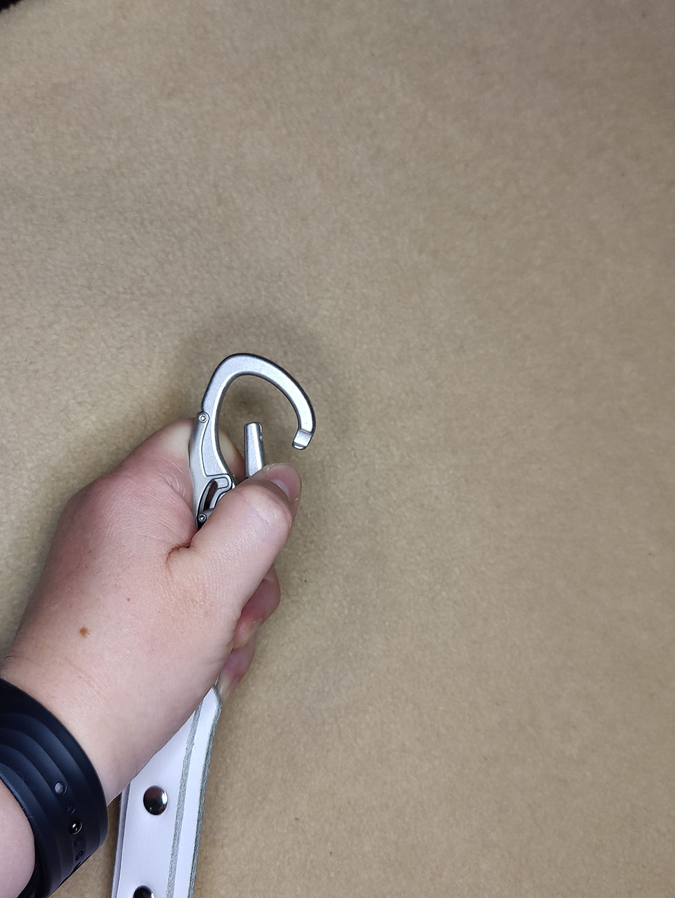 Thumbnail: Leather Leash