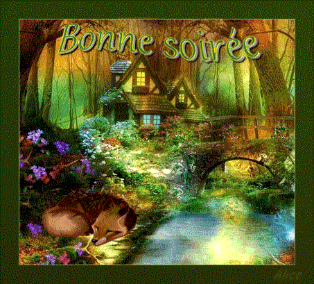 bonne-soiree.gif