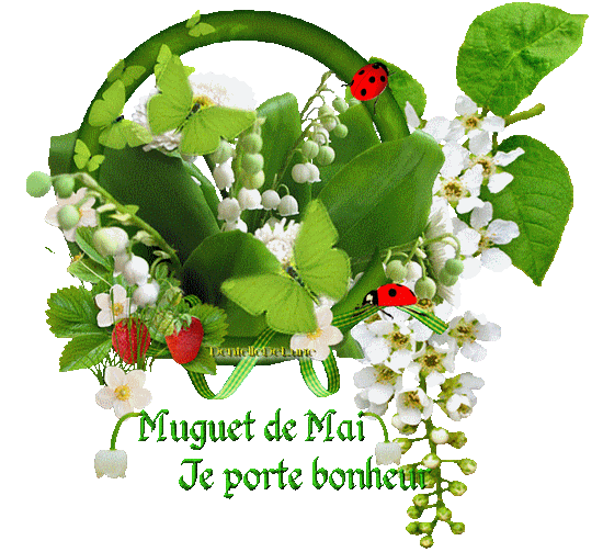 image_0946180_20210420_ob_870876_gif-muguet-de-mai-je-porte-bonheur-a.gif
