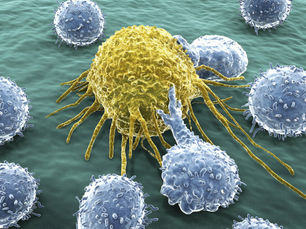 Humoral Immunity Profiling of Subjects with ME