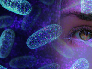 DNA, RNA, and Mitochondrial DNA