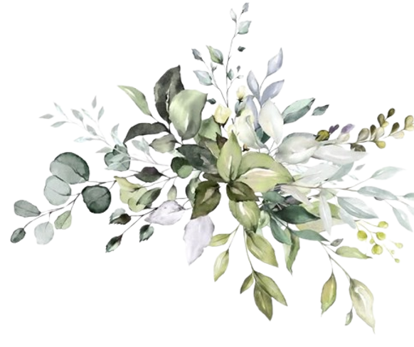image-removebg-preview - 2025-03-12T123430.752.png