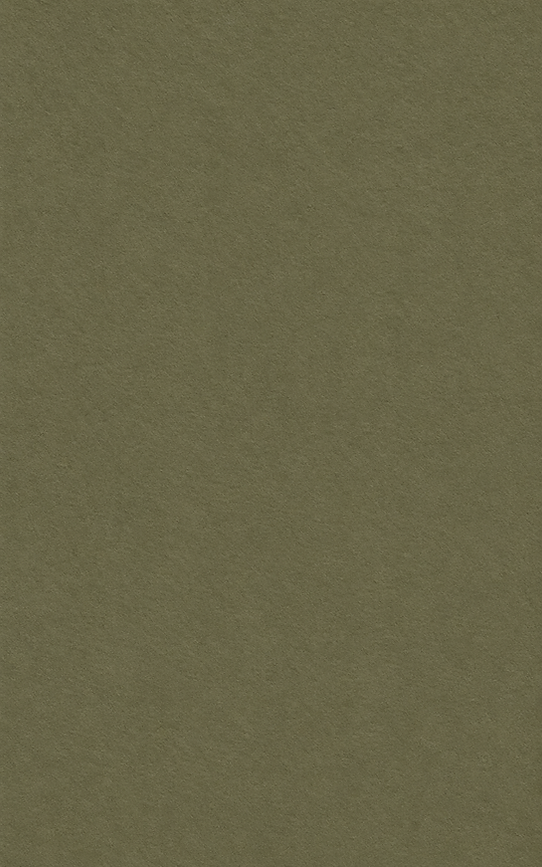 papel verde (2).png