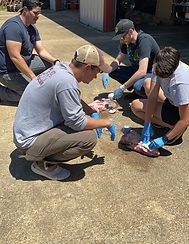 Trauma Training