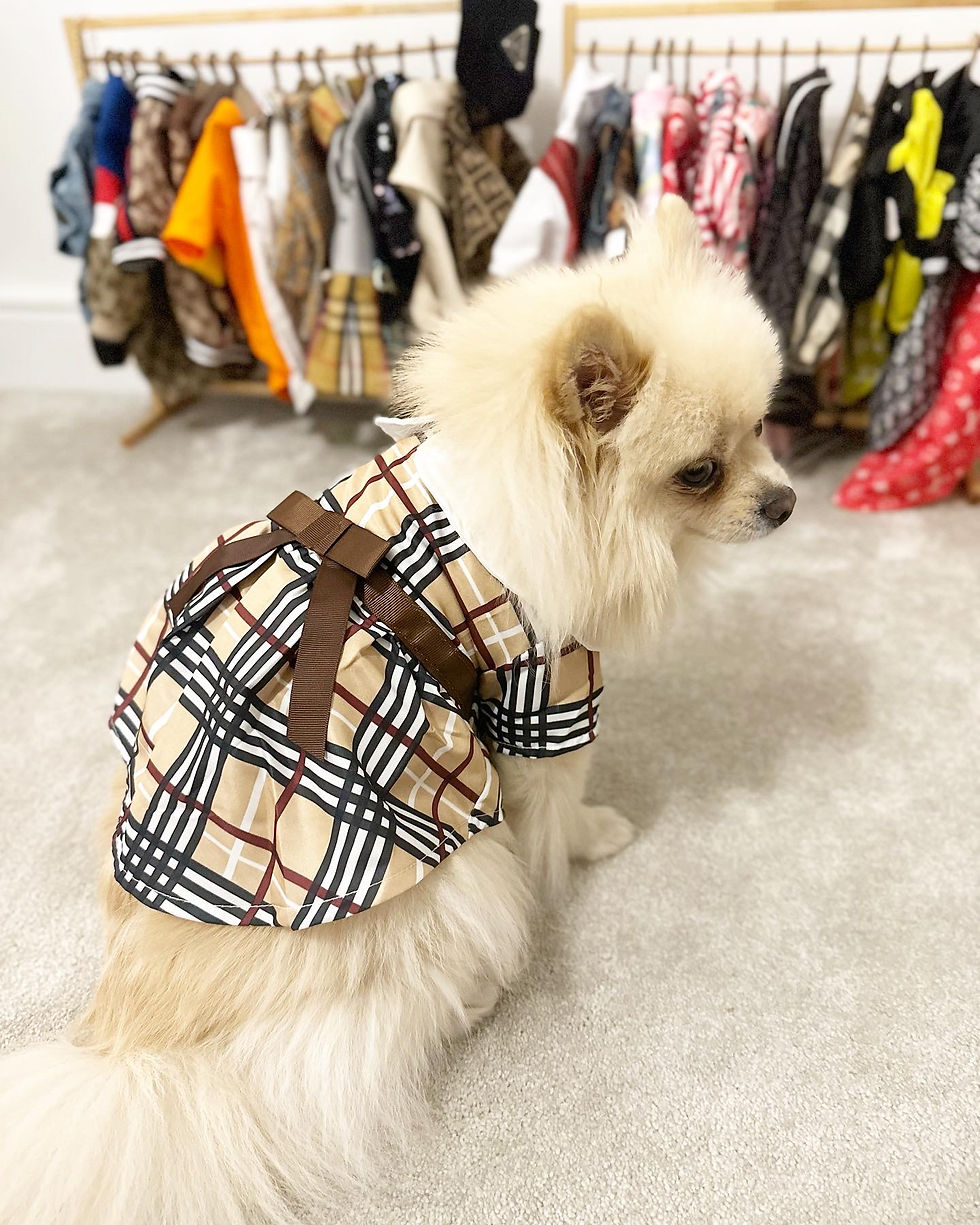 Thumbnail: Burperry Dress