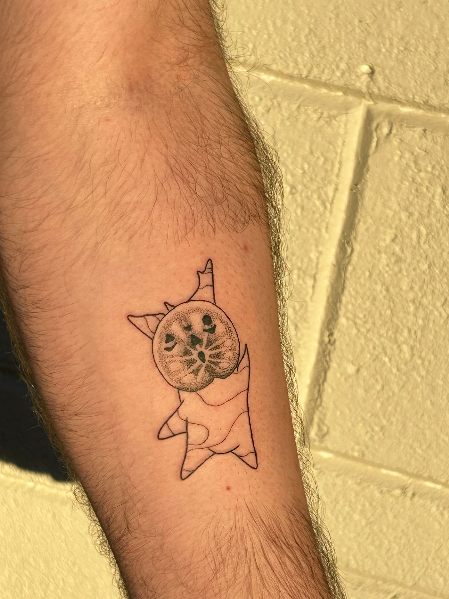 Build your own Korok