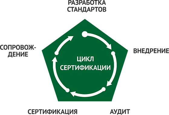 ДВК Стандарт цикл сертификации.png