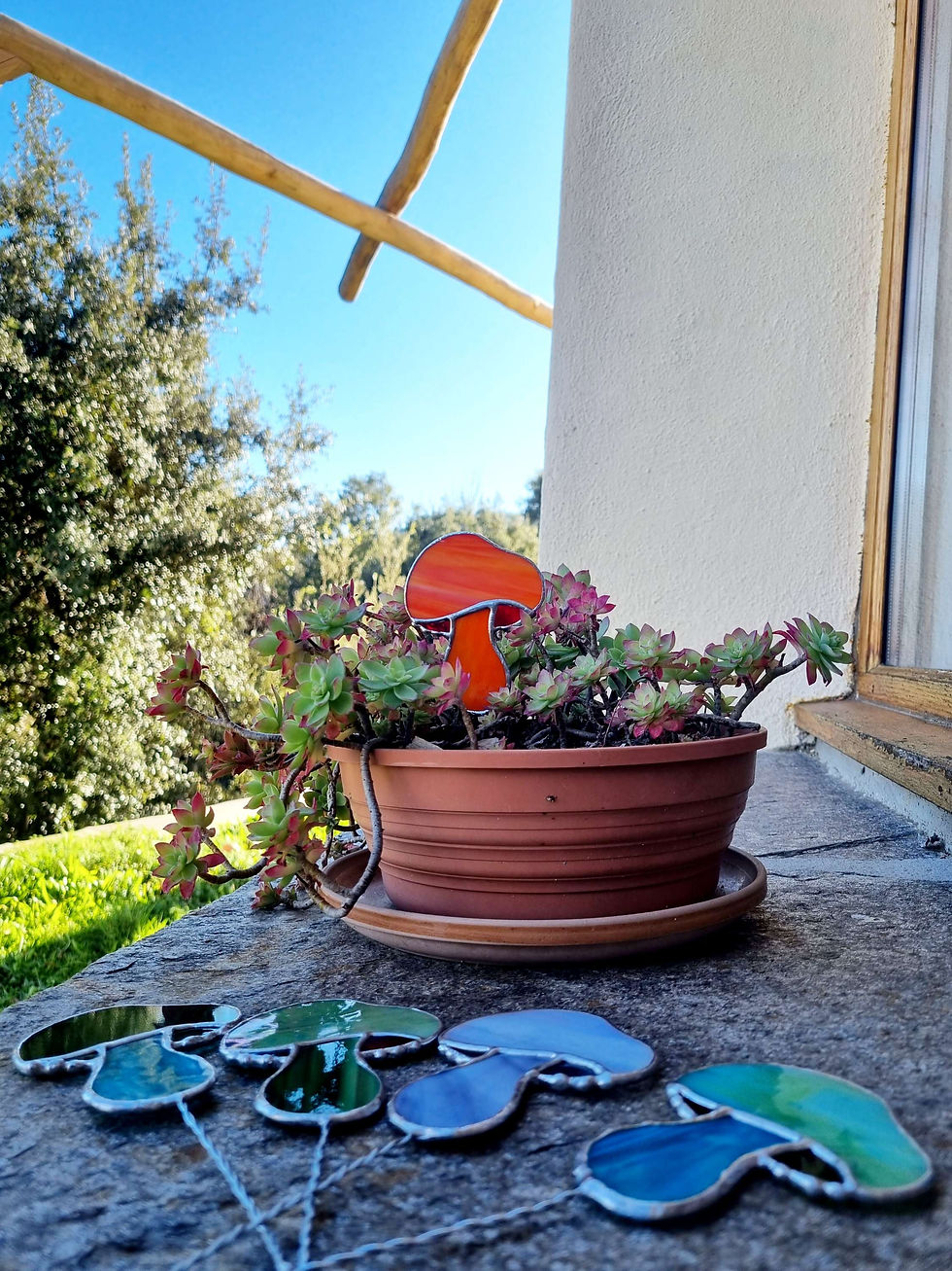Miniature : Champignon à planter 🌿 Sunshine